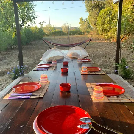 فندق مبيت وإفطار 5 Colli