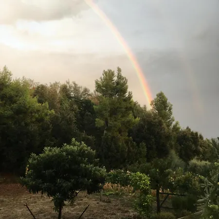 فندق مبيت وإفطار 5 Colli