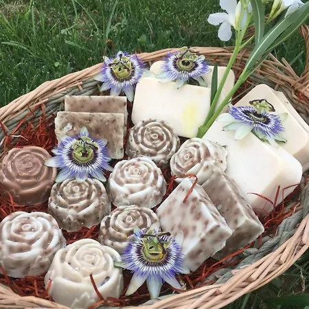 فندق مبيت وإفطار 5 Colli