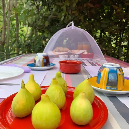 5 Colli Monteprandone