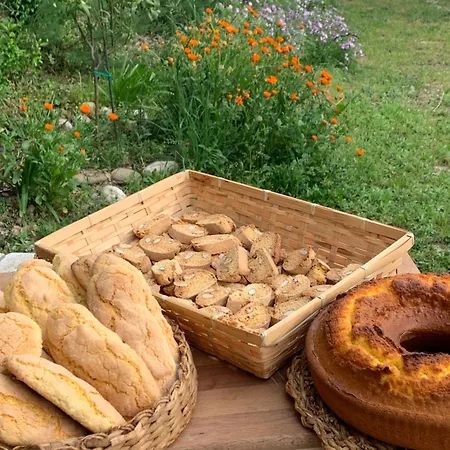 5 Colli Bed & Breakfast