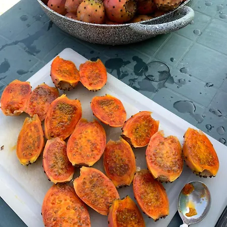 Panzió 5 Colli Monteprandone