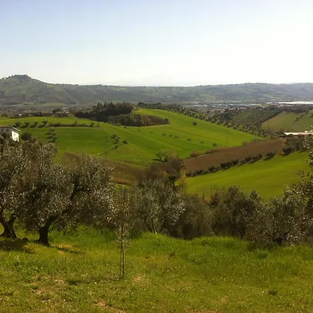 Oda ve Kahvaltı 5 Colli 3*